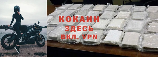 стафф Арсеньев