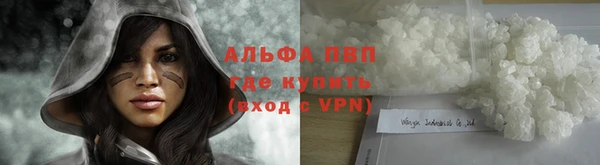 стафф Арсеньев