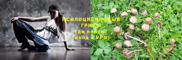 стафф Арсеньев