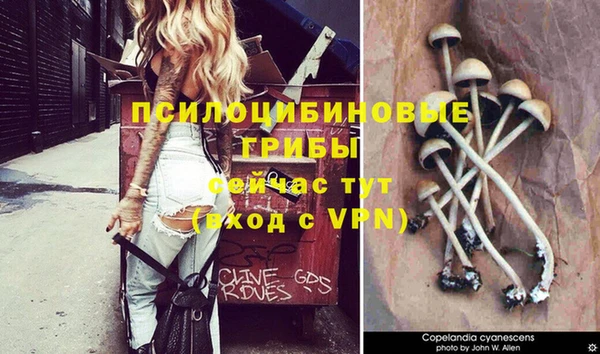 бошки Армянск