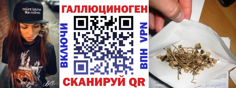 Псилоцибиновые грибы прущие грибы  Купить  Суровикино 